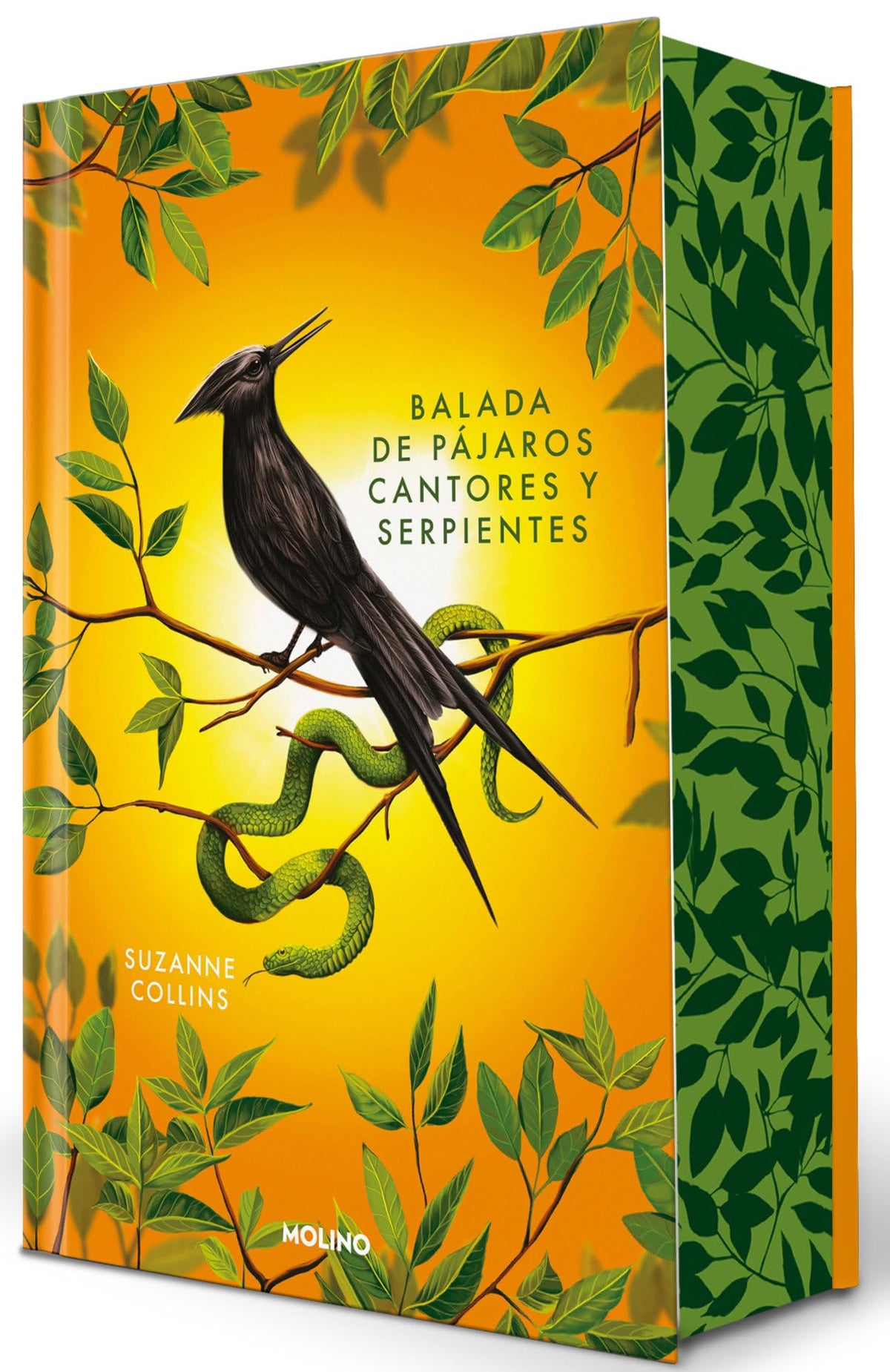 Los juegos del hambre. Balada de pájaros cantores y serpientes, Cantos pintados