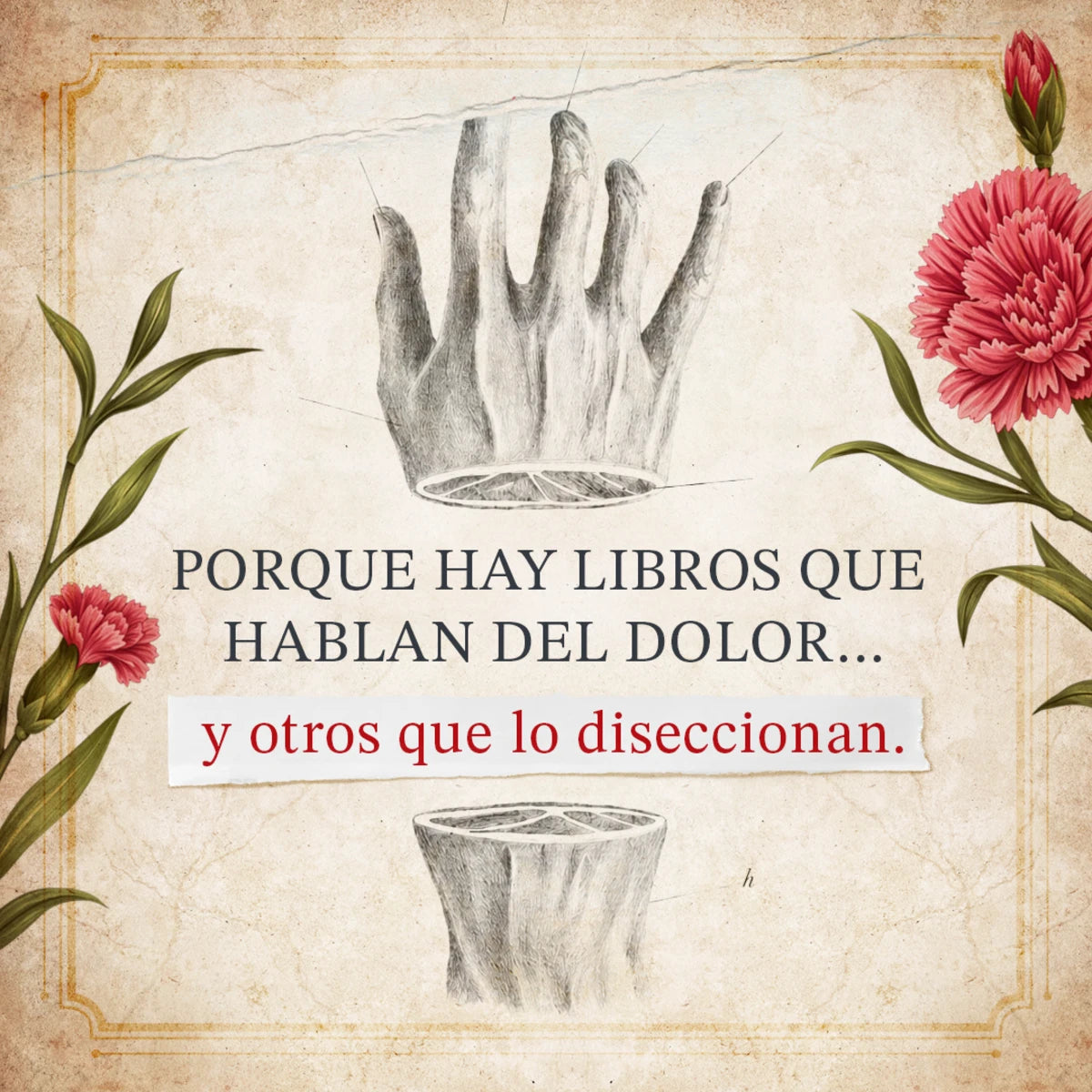 De anatomía poética, Gilraen Eärfalas