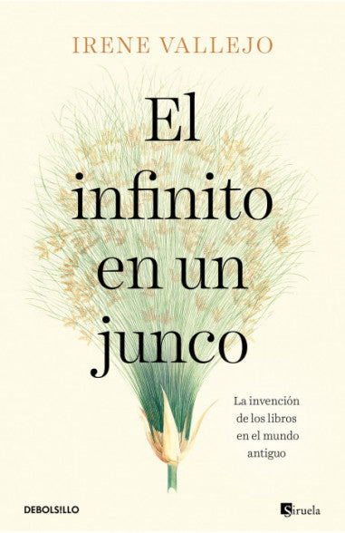 El infinito en un junco, Irene Vallejo